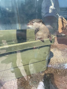 新江ノ島水族館に投稿された画像（2025/7/29）