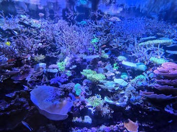 名古屋港水族館に投稿された画像（2025/7/29）