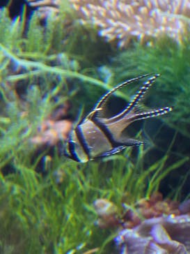 名古屋港水族館に投稿された画像（2025/7/29）