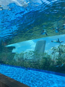 サンシャイン水族館に投稿された画像（2025/7/29）