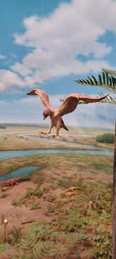 福井県立恐竜博物館に投稿された画像（2025/7/29）