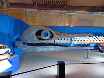 巨大恐竜展2025に投稿された画像（2025/7/29）