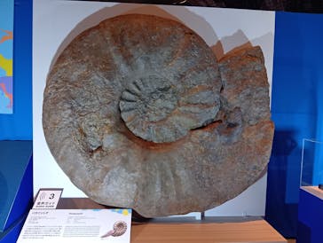 巨大恐竜展2025に投稿された画像（2025/7/29）