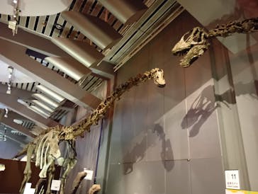 巨大恐竜展2025に投稿された画像（2025/7/29）