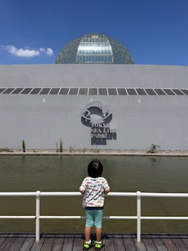 葛西臨海水族園に投稿された画像（2025/7/29）