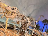 福井県立恐竜博物館に投稿された画像（2025/7/29）