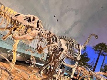 福井県立恐竜博物館に投稿された画像（2025/7/29）