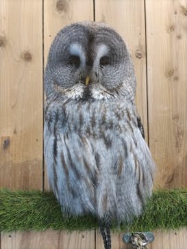 伊豆シャボテン動物公園に投稿された画像（2025/7/29）