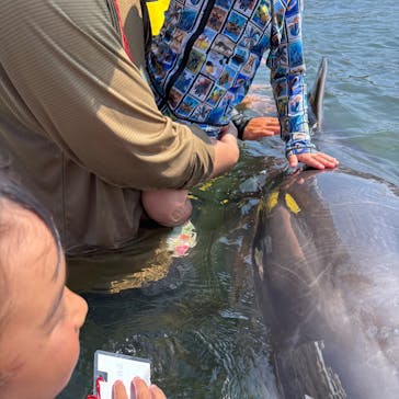 日間賀島ドルフィンビーチに投稿された画像（2025/7/29）