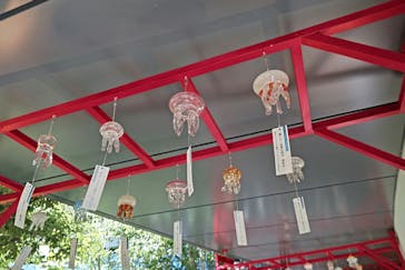 京都鉄道博物館×京都水族館に投稿された画像（2025/7/29）