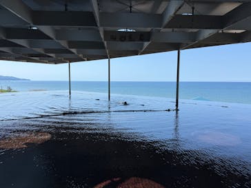 上越市立水族博物館 うみがたりに投稿された画像（2025/7/29）