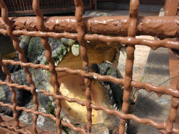 熱川バナナワニ園に投稿された画像（2025/7/29）