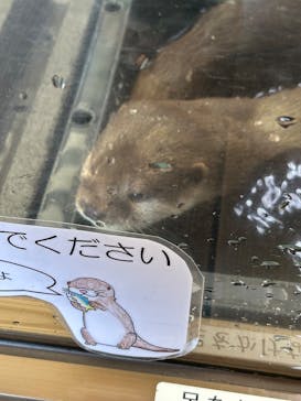 伊豆・三津シーパラダイスに投稿された画像（2025/7/29）