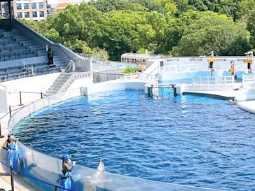 アソビュー！ポイントに投稿された画像（2025/7/29）