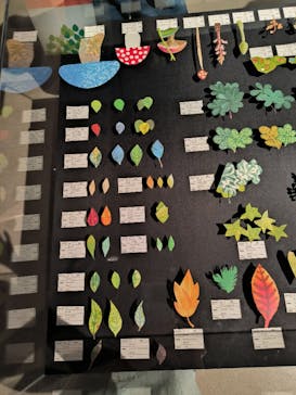 レオ・レオーニの絵本づくり展に投稿された画像（2025/7/29）