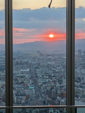 ハルカス300(展望台)に投稿された画像（2025/7/29）