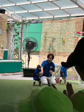 おさるランド＆アニタウン　日光さる軍団劇場に投稿された画像（2025/7/29）