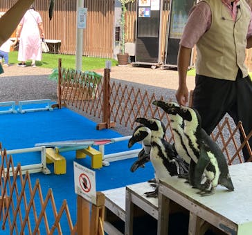 おさるランド＆アニタウン　日光さる軍団劇場に投稿された画像（2025/7/29）