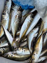 宏昌丸に投稿された画像（2025/7/29）