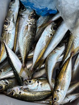 宏昌丸に投稿された画像（2025/7/29）