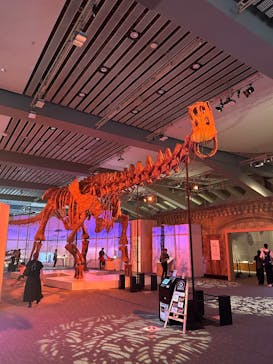 巨大恐竜展2025に投稿された画像（2025/7/30）