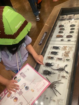 国立科学博物館に投稿された画像（2025/7/30）