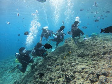 武藤潜水に投稿された画像（2025/7/30）