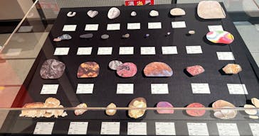 レオ・レオーニの絵本づくり展に投稿された画像（2025/7/30）