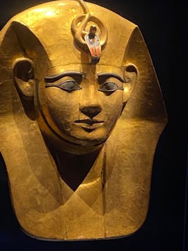 ACN ラムセス大王展 ファラオたちの黄金に投稿された画像（2025/7/30）