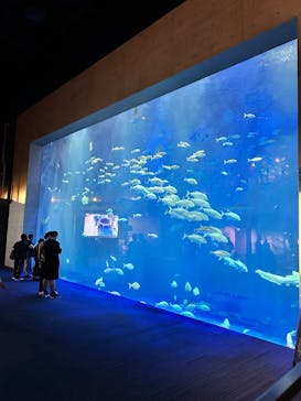 四国水族館に投稿された画像（2025/7/30）