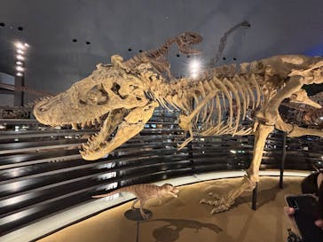 福井県立恐竜博物館に投稿された画像（2025/7/30）