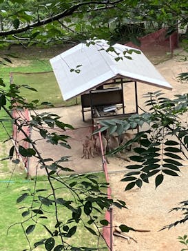 アソビュー！ポイントに投稿された画像（2025/7/30）