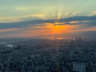 ハルカス300(展望台)に投稿された画像（2025/7/30）