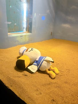 マリンワールド海の中道に投稿された画像（2025/7/30）