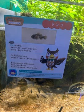 マリンワールド海の中道に投稿された画像（2025/7/30）