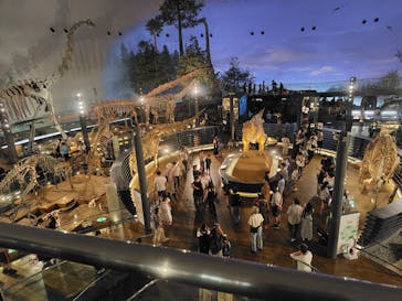 福井県立恐竜博物館に投稿された画像（2025/7/30）