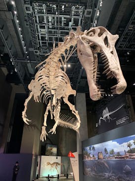福井県立恐竜博物館に投稿された画像（2025/7/30）