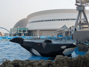 名古屋港水族館に投稿された画像（2025/7/30）