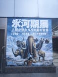 特別展「氷河期展 〜人類が見た4万年前の世界〜」（国立科学博物館）に投稿された画像（2025/7/30）