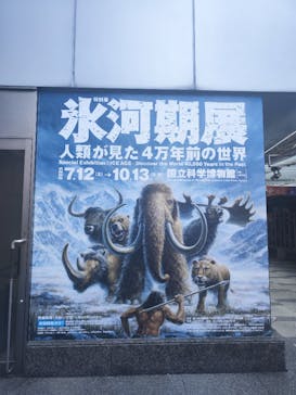 特別展「氷河期展 〜人類が見た4万年前の世界〜」（国立科学博物館）に投稿された画像（2025/7/30）