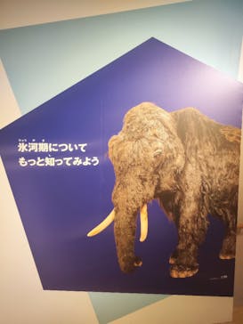 特別展「氷河期展 〜人類が見た4万年前の世界〜」（国立科学博物館）に投稿された画像（2025/7/30）
