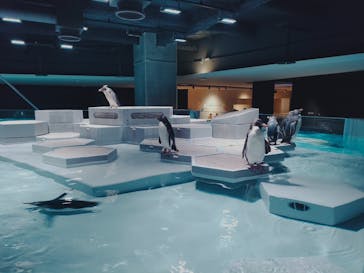 AOAO SAPPOROに投稿された画像（2025/7/30）