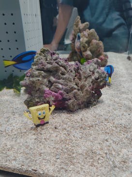 AOAO SAPPOROに投稿された画像（2025/7/30）