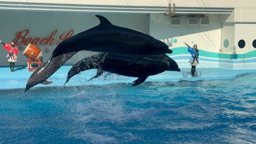 南知多ビーチランド＆南知多おもちゃ王国に投稿された画像（2025/7/30）