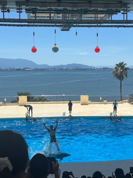 マリンワールド海の中道に投稿された画像（2025/7/30）