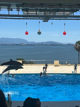 マリンワールド海の中道に投稿された画像（2025/7/30）