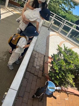 マリンワールド海の中道に投稿された画像（2025/7/30）