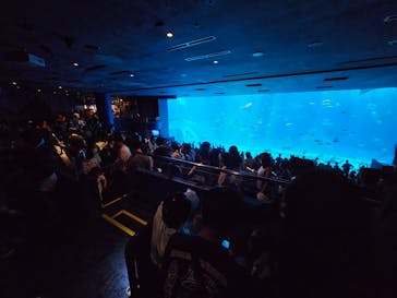 沖縄美ら海水族館に投稿された画像（2025/7/30）