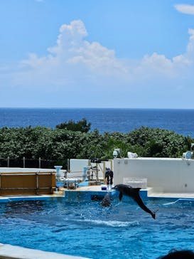 沖縄美ら海水族館に投稿された画像（2025/7/30）