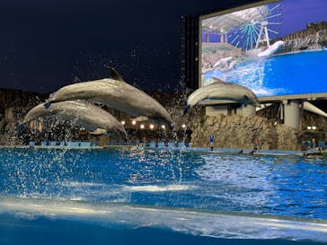名古屋港水族館に投稿された画像（2025/7/30）